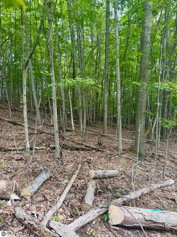 Image 22 of property listing at 0000 W Harbor Highway, Maple City, MI 49664