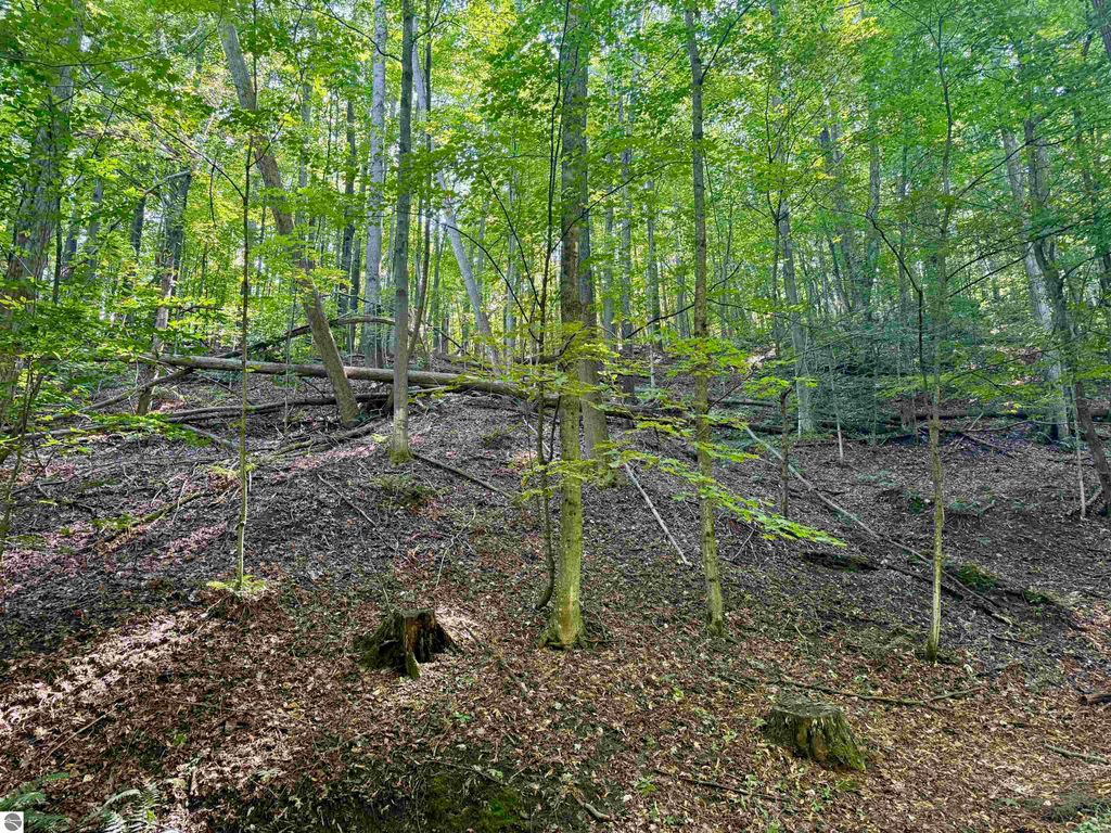 Image 25 of property listing at 0000 W Harbor Highway, Maple City, MI 49664