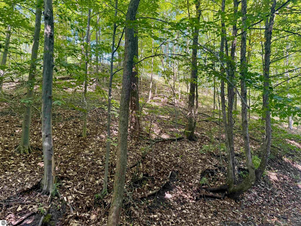 Image 26 of property listing at 0000 W Harbor Highway, Maple City, MI 49664