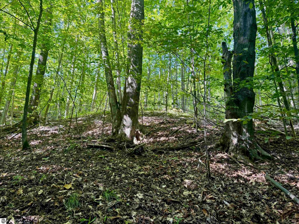 Image 27 of property listing at 0000 W Harbor Highway, Maple City, MI 49664