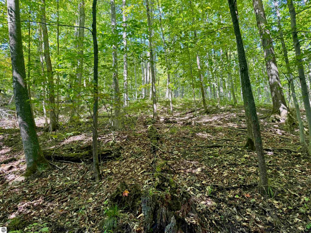 Image 28 of property listing at 0000 W Harbor Highway, Maple City, MI 49664