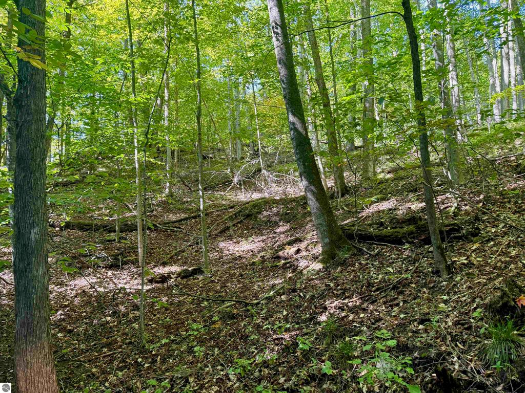 Image 29 of property listing at 0000 W Harbor Highway, Maple City, MI 49664