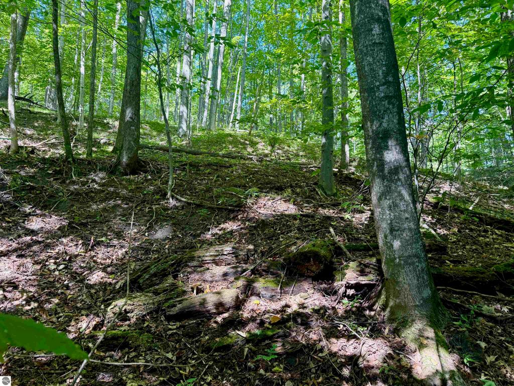 Image 30 of property listing at 0000 W Harbor Highway, Maple City, MI 49664