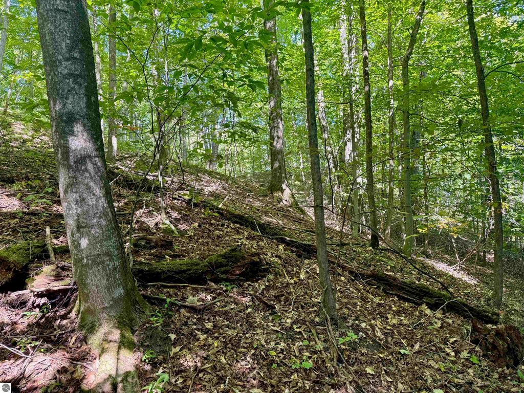 Image 31 of property listing at 0000 W Harbor Highway, Maple City, MI 49664