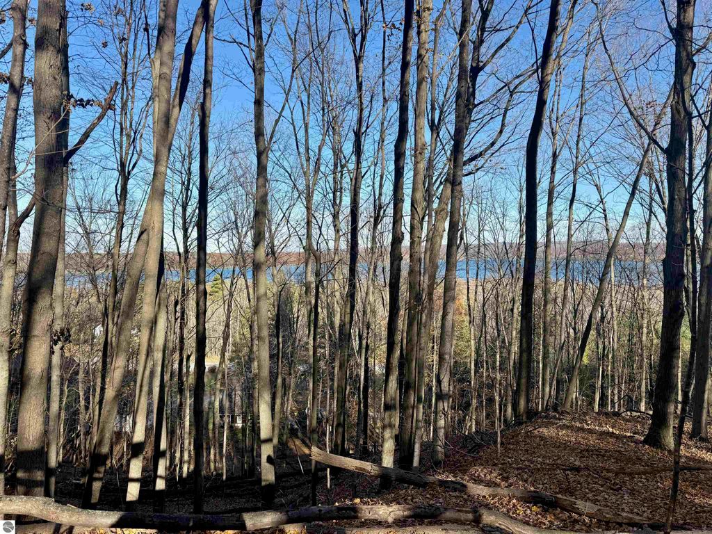 Image 33 of property listing at 0000 W Harbor Highway, Maple City, MI 49664