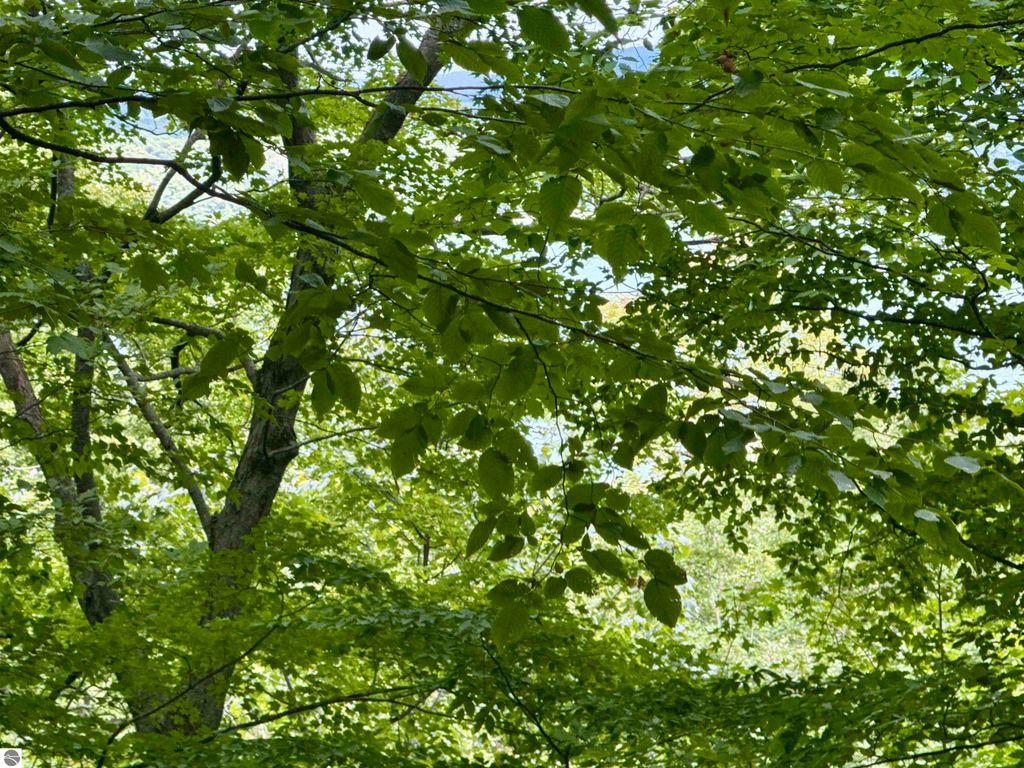 Image 6 of property listing at 0000 W Harbor Highway, Maple City, MI 49664