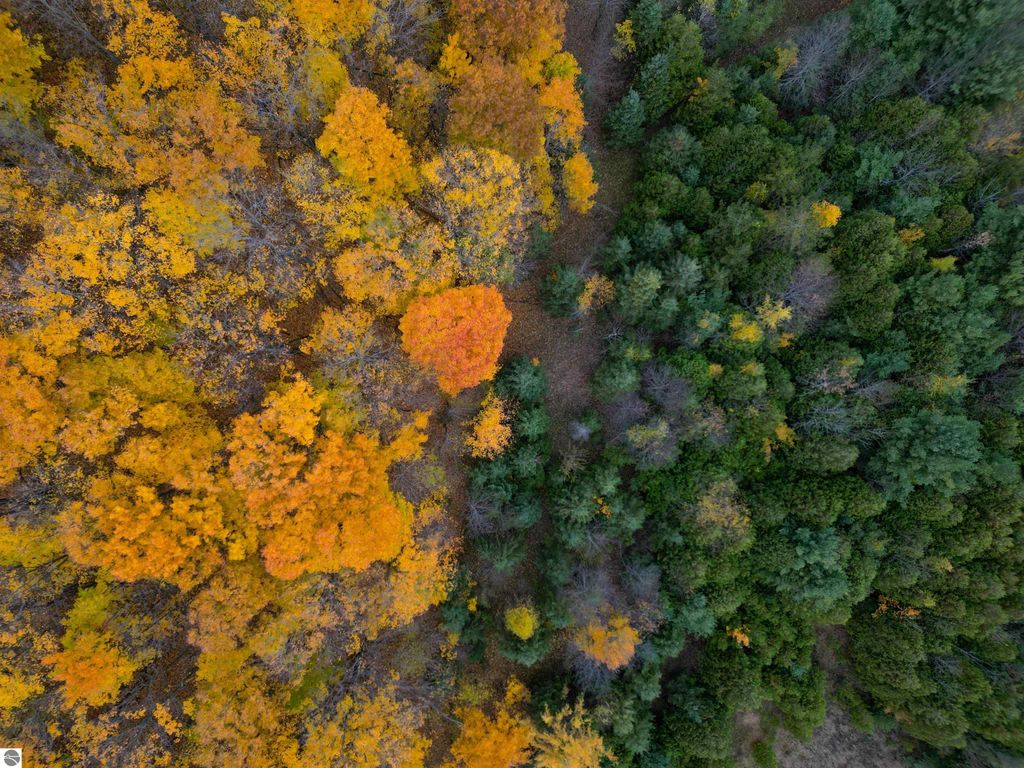 Image 8 of property listing at 0000 W Harbor Highway, Maple City, MI 49664