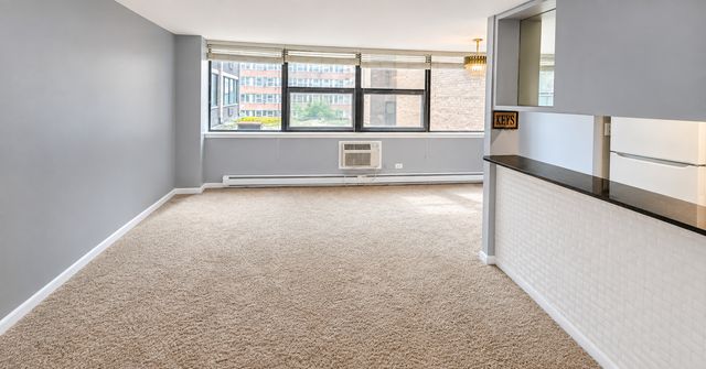 3110 N Sheridan Road 505, Chicago, IL 60657