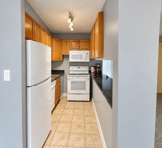 3110 N Sheridan Road 505, Chicago, IL 60657