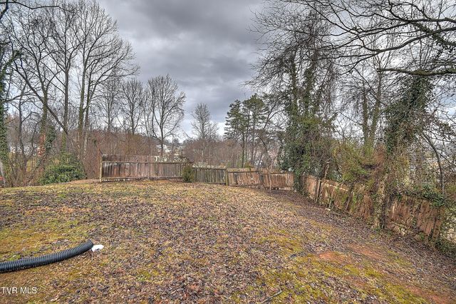 151 Milligan Street, Johnson City, TN 37601