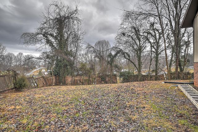 151 Milligan Street, Johnson City, TN 37601