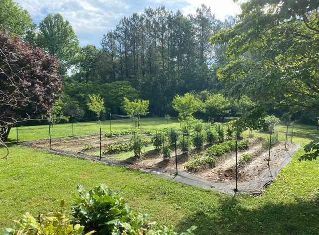 925 Bumpas Rd, Lawrenceburg, TN 38464