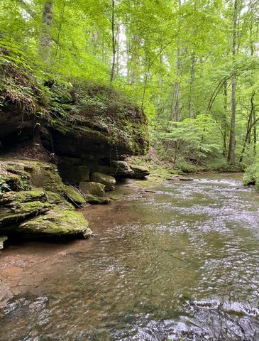 925 Bumpas Rd, Lawrenceburg, TN 38464