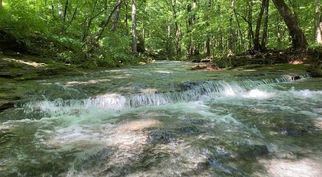 925 Bumpas Rd, Lawrenceburg, TN 38464