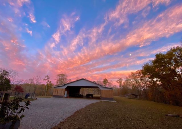 925 Bumpas Rd, Lawrenceburg, TN 38464