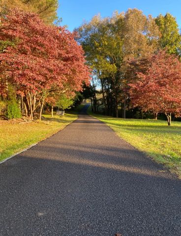 925 Bumpas Rd, Lawrenceburg, TN 38464