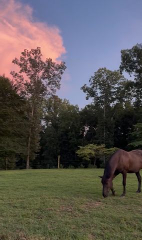 925 Bumpas Rd, Lawrenceburg, TN 38464