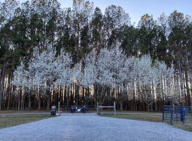 925 Bumpas Rd, Lawrenceburg, TN 38464