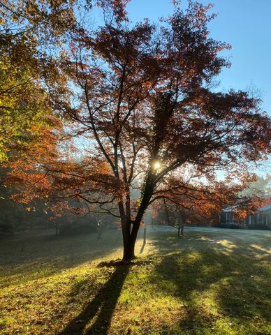 925 Bumpas Rd, Lawrenceburg, TN 38464