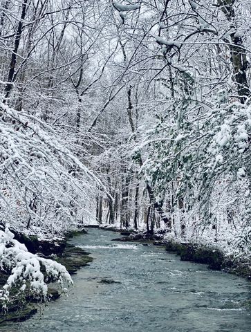 925 Bumpas Rd, Lawrenceburg, TN 38464