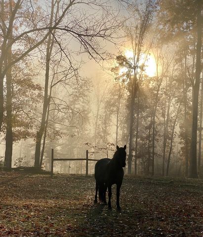 925 Bumpas Rd, Lawrenceburg, TN 38464