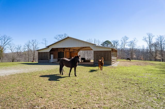 925 Bumpas Rd, Lawrenceburg, TN 38464