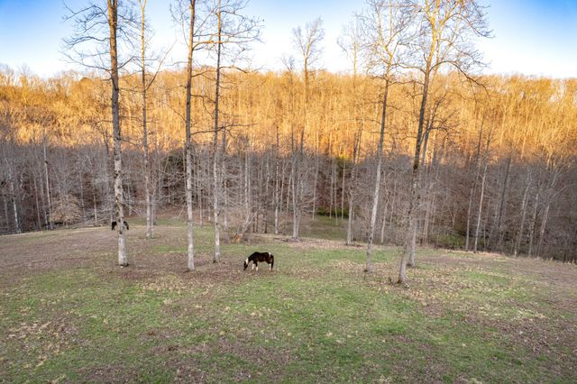 925 Bumpas Rd, Lawrenceburg, TN 38464