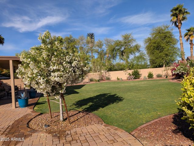 12966 W CATALINA Drive, Avondale, AZ 85392