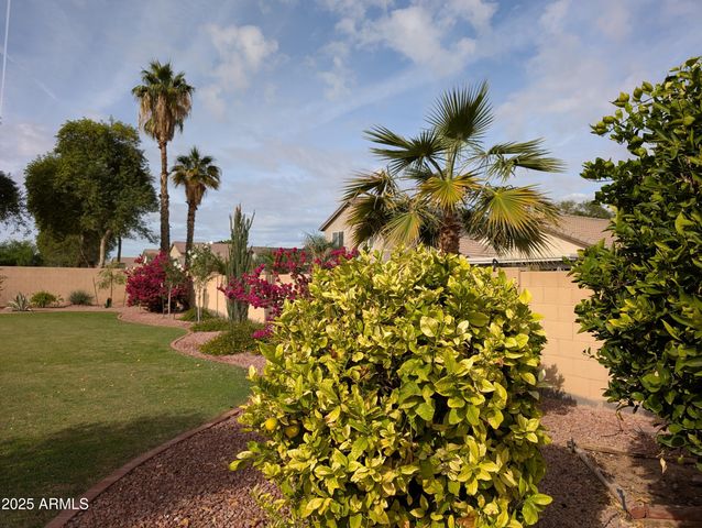 12966 W CATALINA Drive, Avondale, AZ 85392