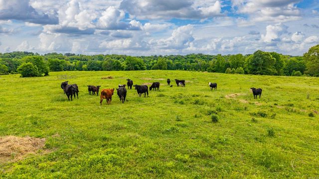 371 Highway 128, Bismarck, AR 71929