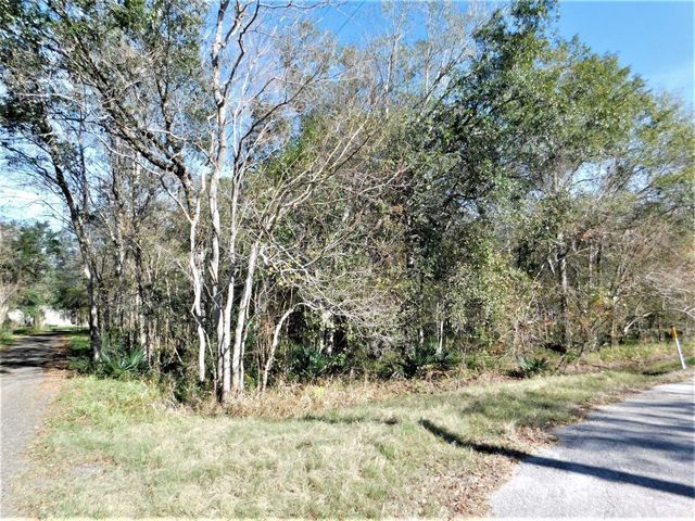 0 Brazos River Drive, Damon, TX 77430