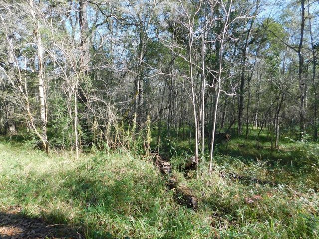 0 Brazos River Drive, Damon, TX 77430