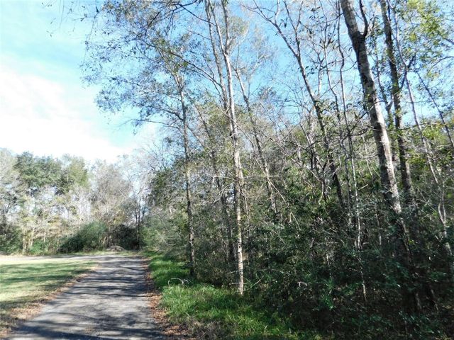 0 Brazos River Drive, Damon, TX 77430