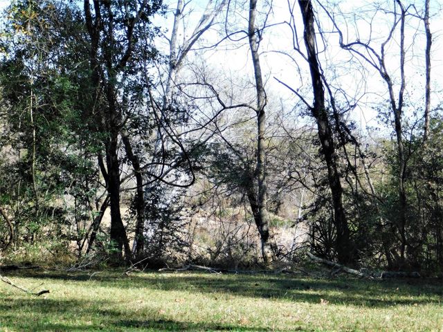 0 Brazos River Drive, Damon, TX 77430