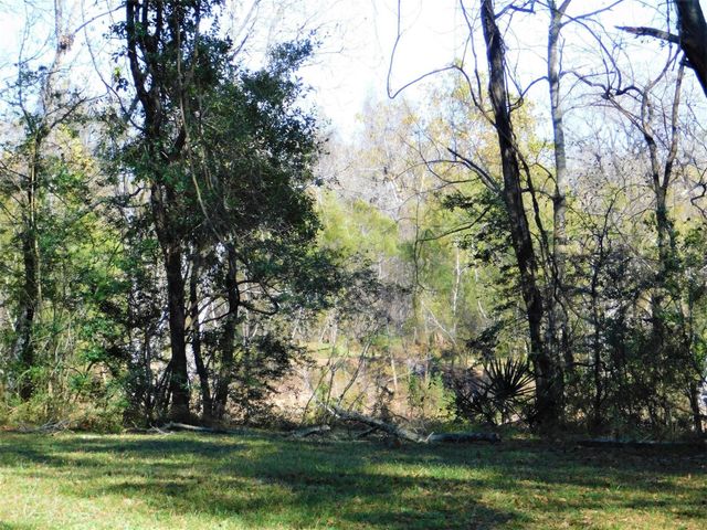 0 Brazos River Drive, Damon, TX 77430