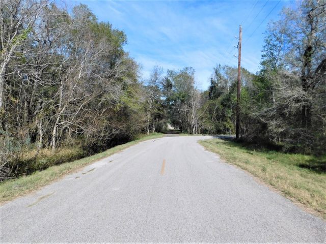 0 Brazos River Drive, Damon, TX 77430