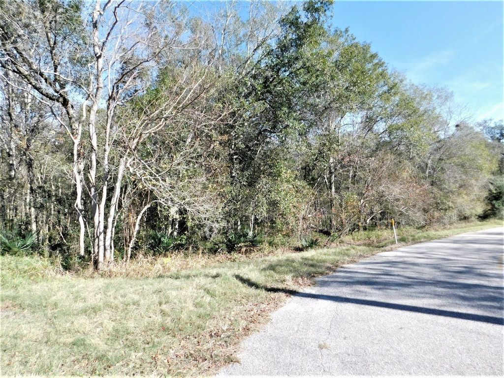 0 Brazos River Drive, Damon, TX 77430