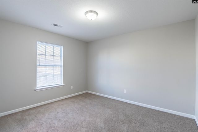 1339 Green Turf Lane, Elgin, SC 29045