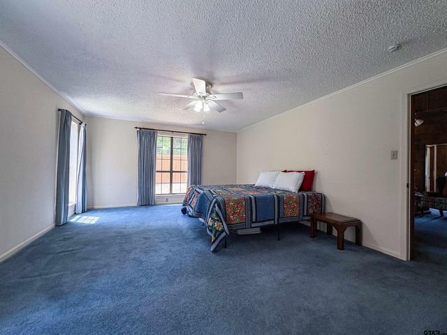 802 Circle Drive, Winnsboro, TX 75494