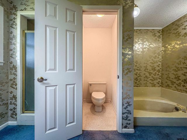 802 Circle Drive, Winnsboro, TX 75494