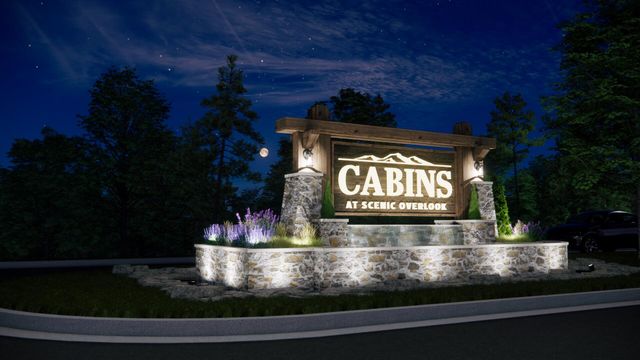 Tbd 4 Scenic Overlook Loop, Hollister, MO 65672