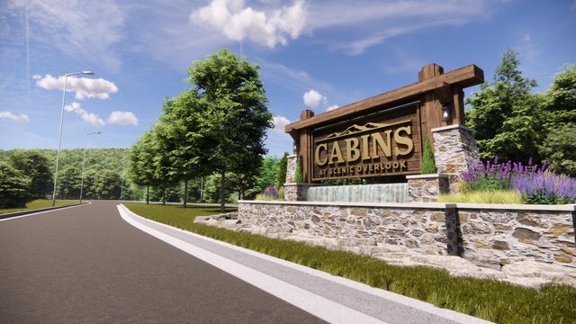 Tbd 4 Scenic Overlook Loop, Hollister, MO 65672