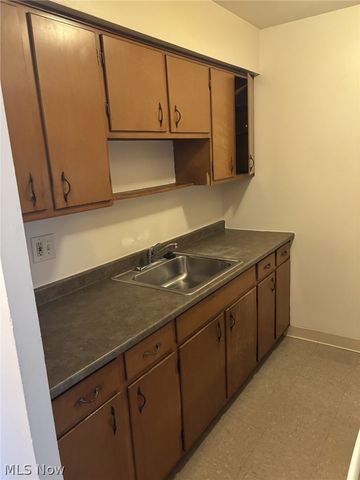 23831 David Drive 205, North Olmsted, OH 44070