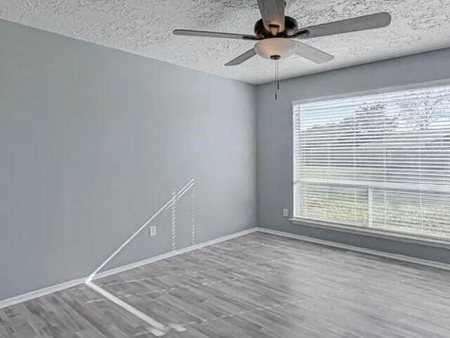 3610 Vineyard Drive, Houston, TX 77082