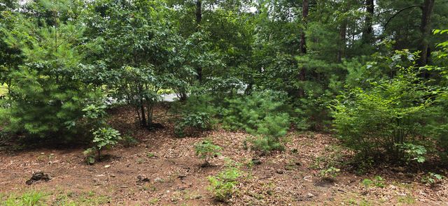 185 West Avon Road, Avon, CT 06001