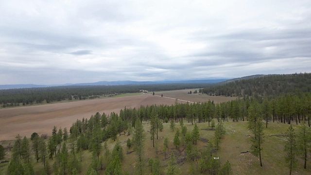 TBD N Corkscrew Canyon Rd, Tumtum, WA 99013