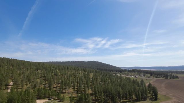 TBD N Corkscrew Canyon Rd, Tumtum, WA 99013