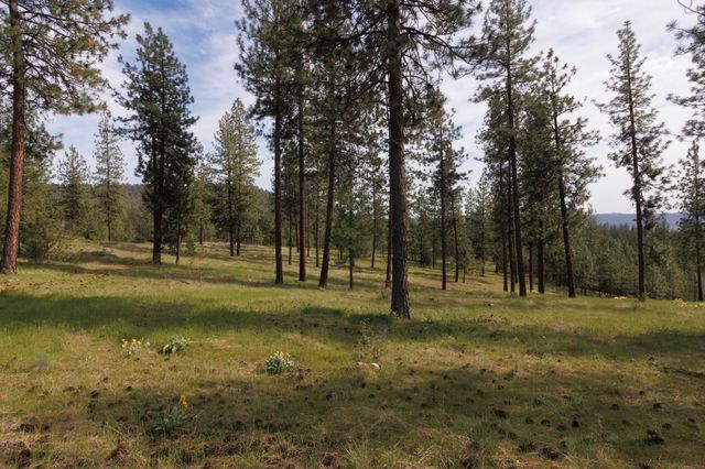 TBD N Corkscrew Canyon Rd, Tumtum, WA 99013