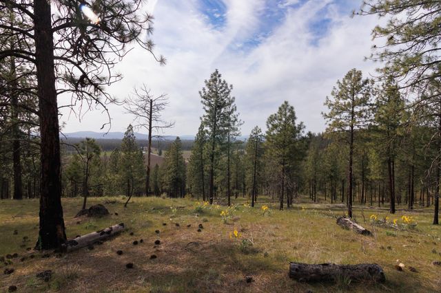 TBD N Corkscrew Canyon Rd, Tumtum, WA 99013