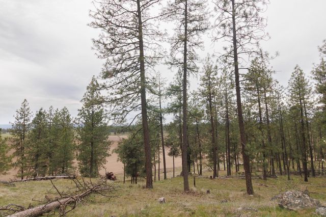 TBD N Corkscrew Canyon Rd, Tumtum, WA 99013